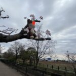 喪女だけどウォーキングしてるwwwww