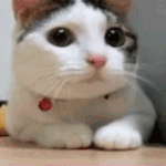 【画像】ローソンストア100の食べ物について語ろうぜwwwwwwwwww