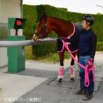 【動画】ペンギン「イヤや!ワイは体重を計られとうないんや!!」