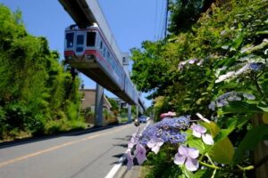 【衝撃】永久磁石で動く中国製懸垂式リニアの試験路線が始動!