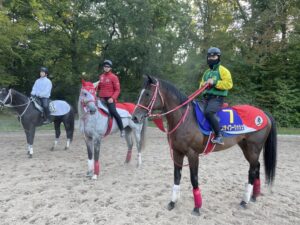 【悲報】ドウデュースの馬体、ダイエットでなんか寂しく見える…