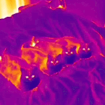 【朗報】お尻の穴を鍛えると痩せるらしいwwwwwwwwww