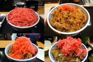 【疑問】吉野家とかで紅ショウガたっぷり載せて食う奴wwwwwwwwww