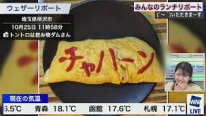 【悲報】料理屋のチャーハン作ってるの見たら味の素を山ほど入れるんだな…