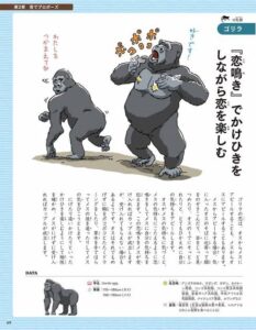 【悲報】人間「筋トレして…プロテイン飲んでぇ…」ゴリラ「ウホ?(草だけ食ってムキムキ)」
