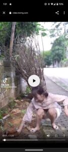 【動画】中国の女の子「ミニスカチャイナで料理してみたwww」