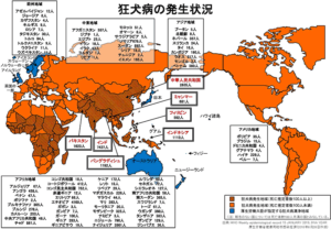 【悲報】沖縄「人間に感染し発症すれば、ほぼ100%死亡」 狂犬病の予防接種49% 全国ワースト続く