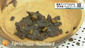 【悲報】政治家「コオロギが駄目なら、コオロギをニワトリに食わせて卵食えば解決やん」