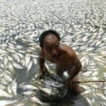 【悲報】中国で消しゴム422万個回収!有害物質が基準値超えで消費者の健康に悪影響!!!!