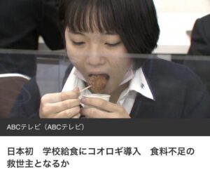 【食品】でもコオロギが粉状で見た目気にならずめっちゃ低カロリー高タンパク質だったら?